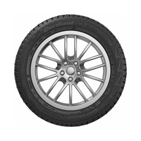 225/50  R17  Cordiant Snow Cross шип 98T Вид 3